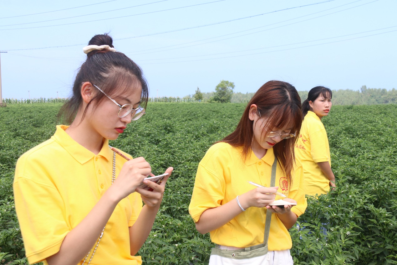 南阳理工学院学子三下乡：推广特色农产品，助力乡村振兴